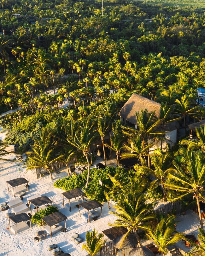 Nest Tulum Hotell Eksteriør bilde